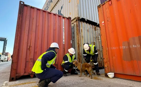 Connie the Container Dog: A Tale of Bravery and Resilience